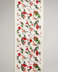 Sale Fionaas Women Scarves
