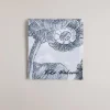 Hot Kylieee Women Scarves