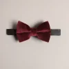 Discount Niico Men Ties & Bowties