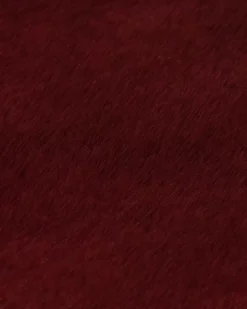 New Petraas Women Scarves