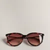 Sale Suzyy Women Sunglasses